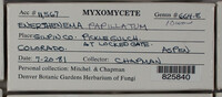 Image Associated With the Occurence